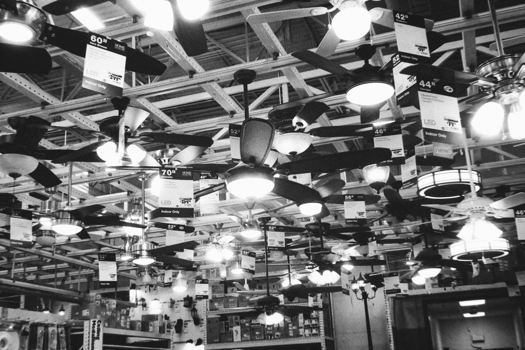 Camera: Minolta CLE Lens: 40mm M Rokkor Film: HP5+ plus rated at 1600