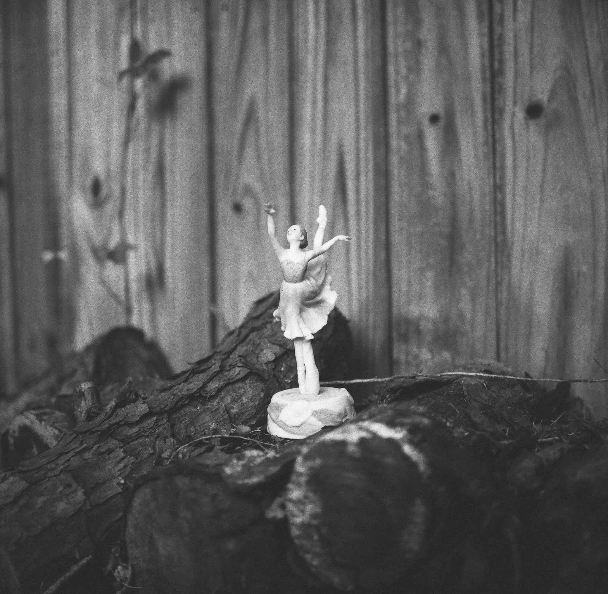 ROLLEIFLEX 2.8D HP5+ 