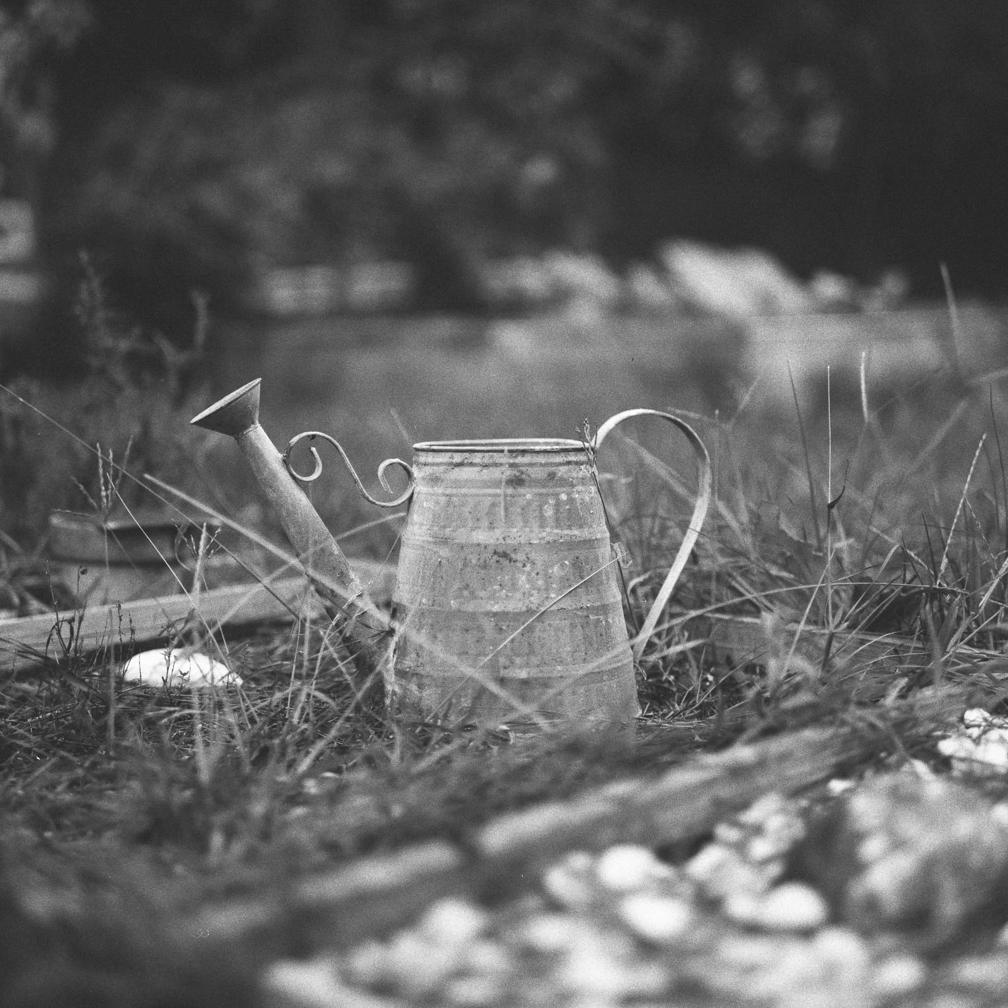 ROLLEIFLEX 2.8D HP5+ 