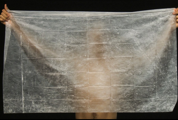 Object Solutions: An Art Endeavor by Ernesto Morales