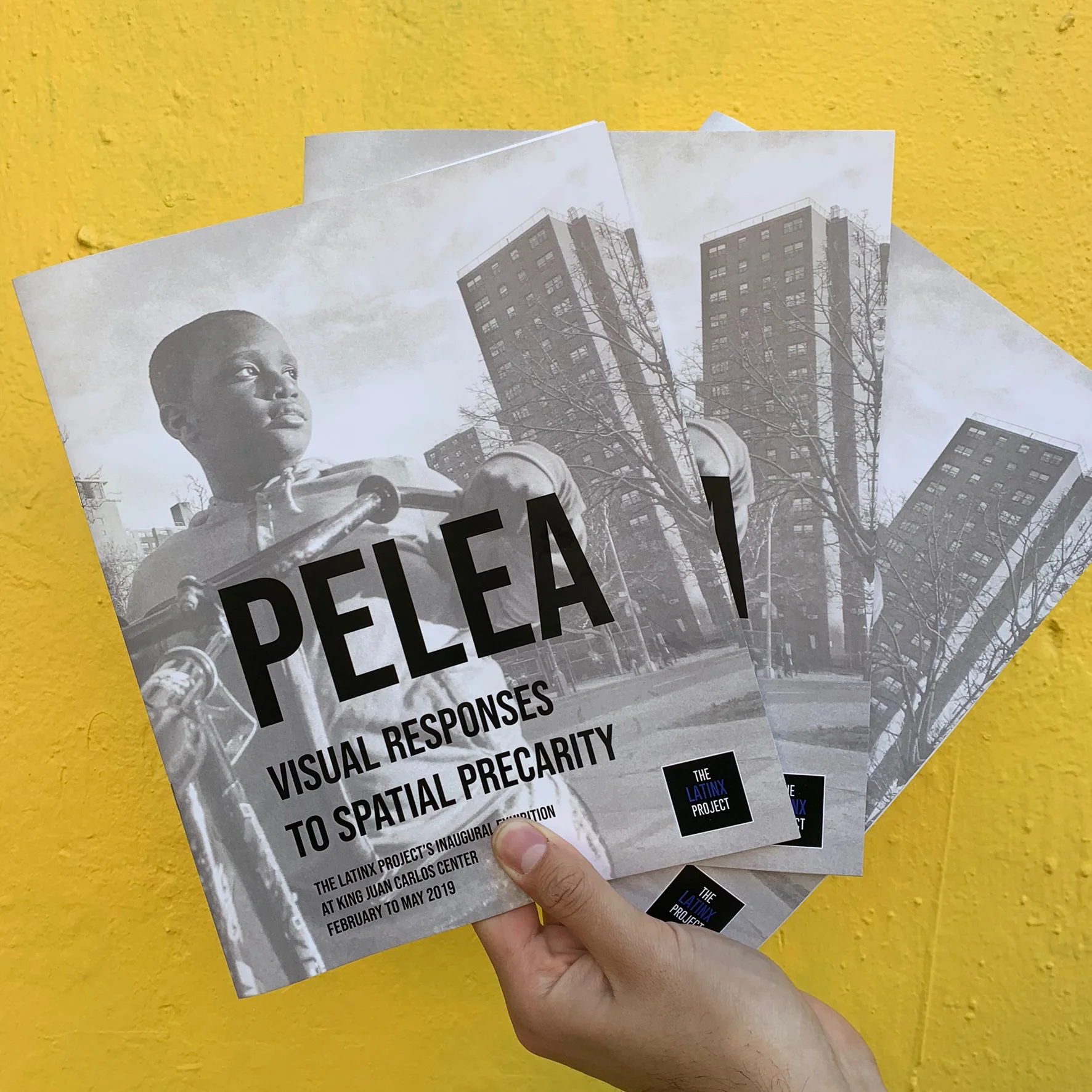 You can view the exhibition catalog I designed here.