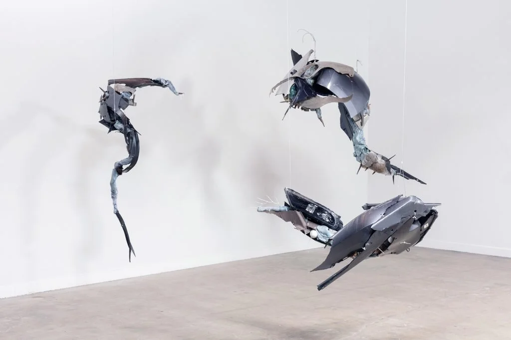 Review of Ruben Ulises Rodriguez Montoya “Ex Situ Canis Latrans” at Murmurs L.A.