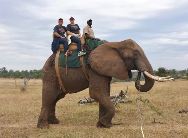 In and Out of Africa
