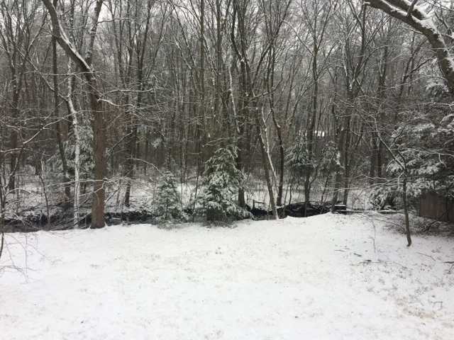 It's NOT beginning to look a lot like Christmas . . .