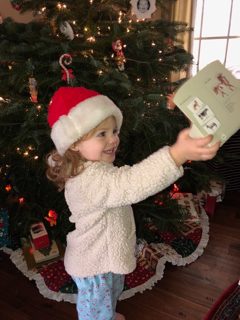 Little Santa in the making . . .