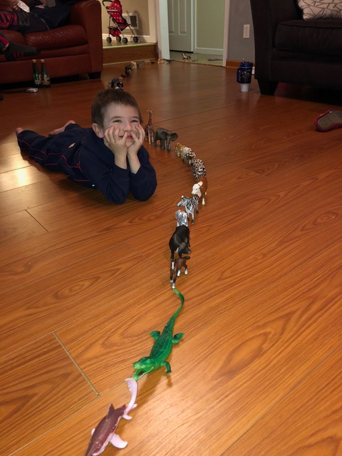 Nathan’s personality traits are fairly easy to peg. His line of animals stretched about 15’, encircling the family room and hallway. 