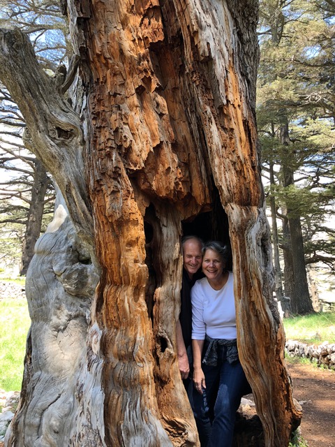Couldn’t resist. Imagine being in a grove of trees, some of which are 6000 years old!!