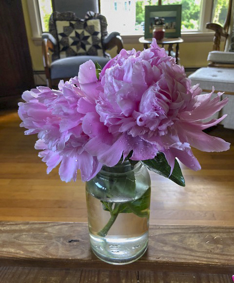 Is there anything sweeter than peonies??