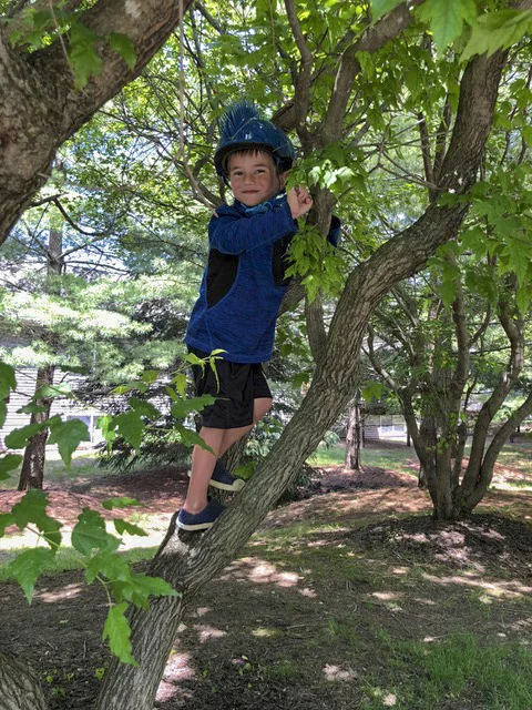 Give a boy a tree . . . Nathan, in his element!