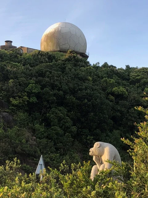 On top of Monkey Mountain, where the US military built transmitting towers during the war.