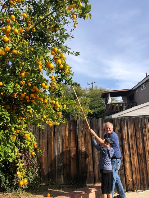Signs of California in January.