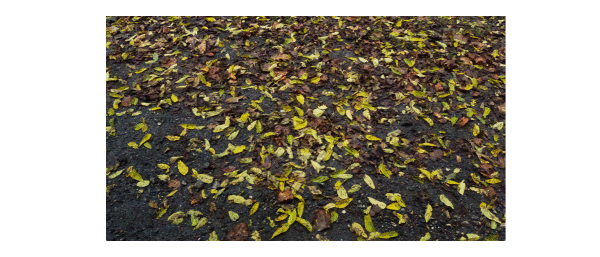 blog_change_trans2.gif