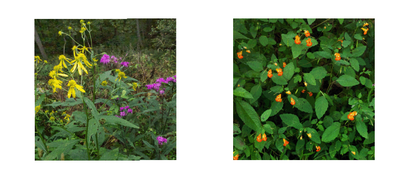 blog_change_trans3.gif