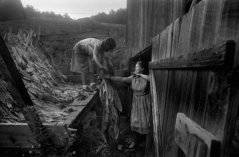   Angie and Juanita Shelton Unloading Tobacco, Hopewell, NC – from Sodom Laurel Album  