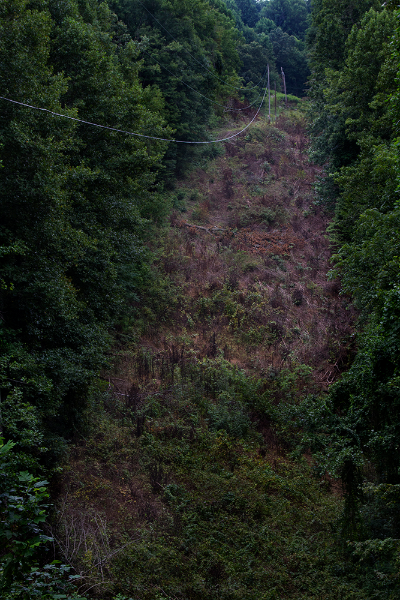 IMG_3523 (a).jpg