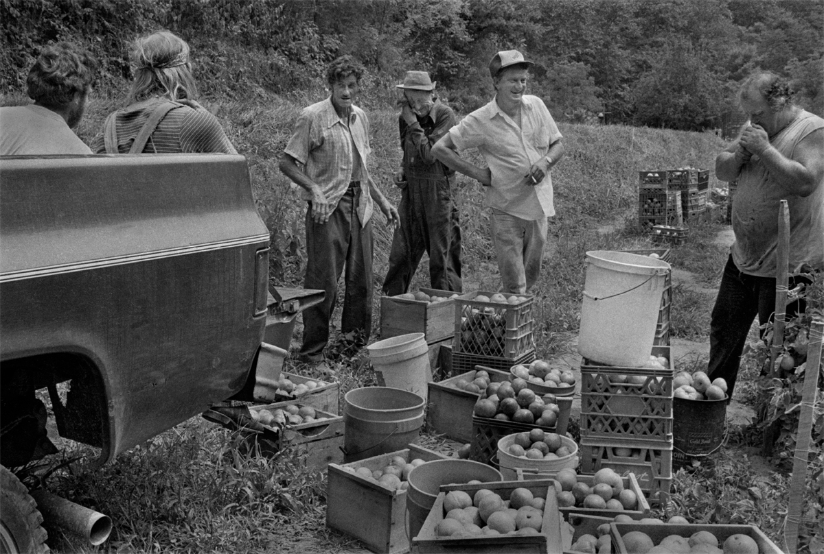 Finished Picking, from left, Chuck Durdin, Jeff Johnson, Mckinley Massey, Ish Massey, Charles Massey, Jerry Reed, Big Pine, 1981.