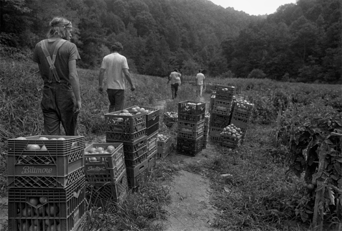 Dinnertime, Big Pine, 1981