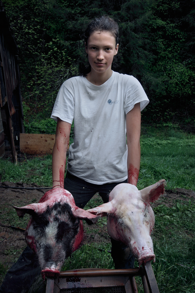 Cheoah Webb Butchering Hogs, Dry Pond, Madison County, NC 2009.
