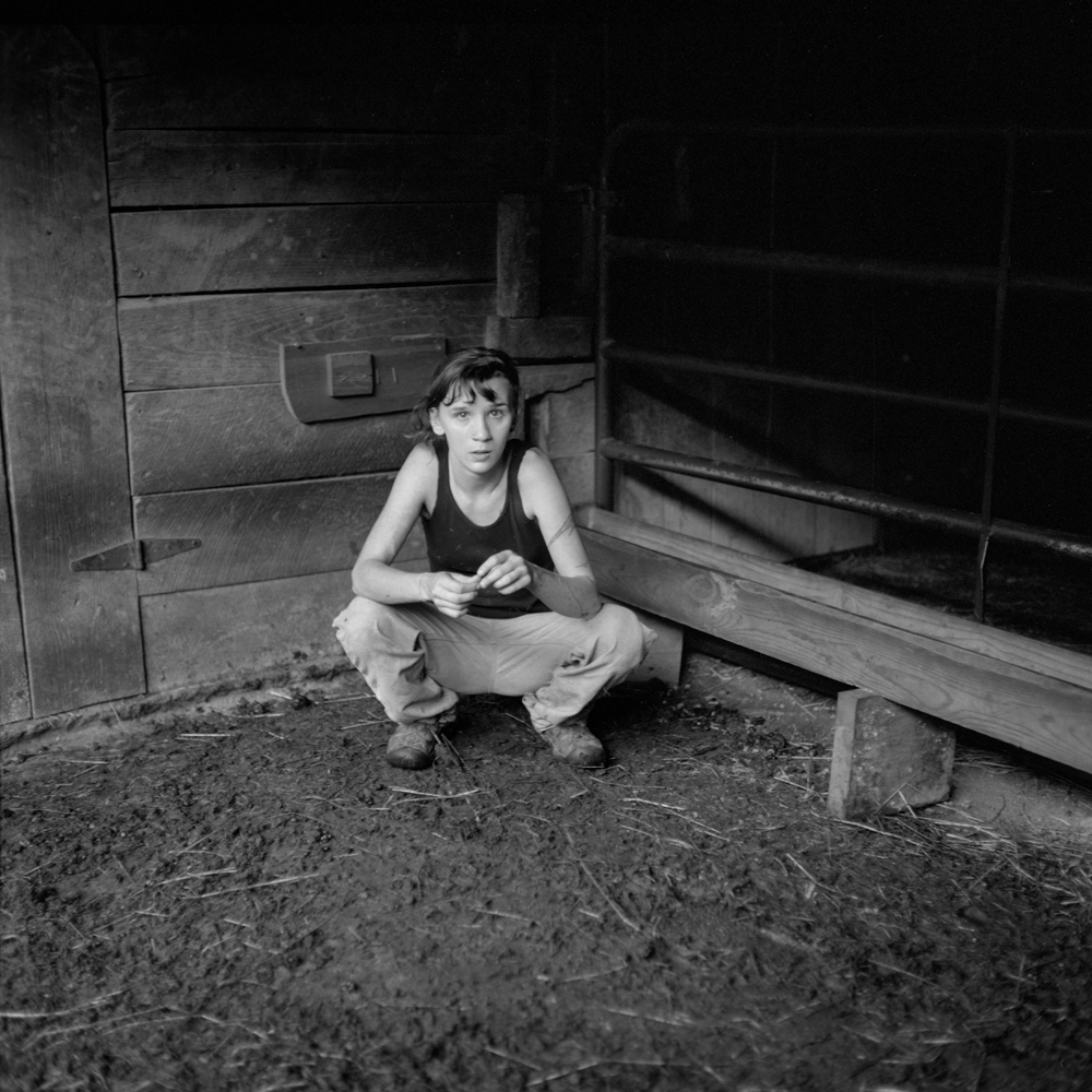 In the Barn, PawPaw, 2013.