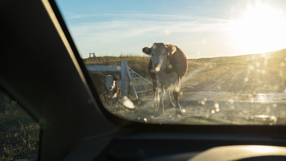 Near Martin, SD