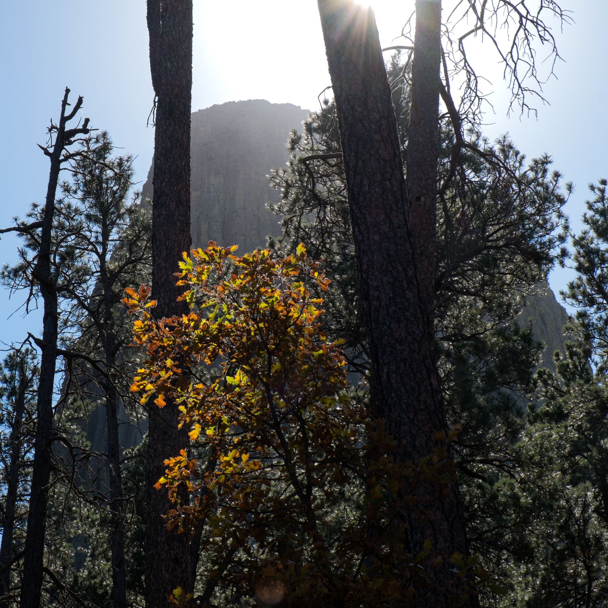 Devils Tower National Monument, Wyoming