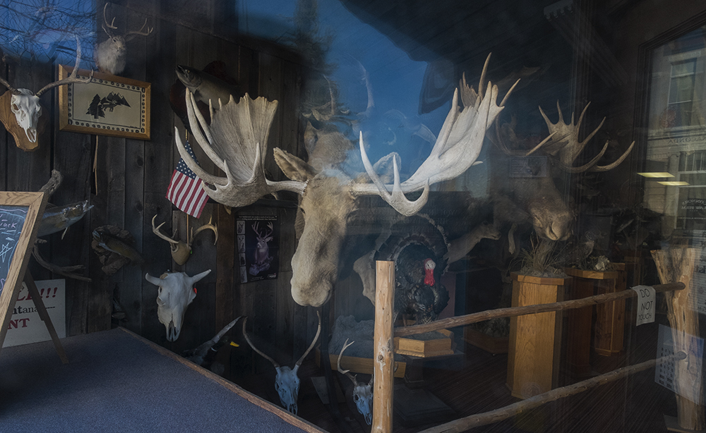 Capps Taxidermy, Anaconda, Montana