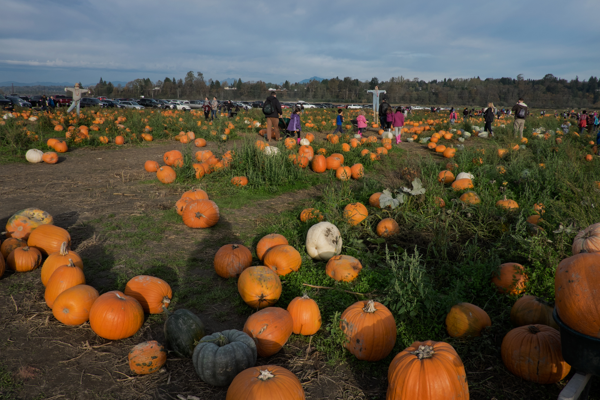 Selfie at the Pumpkin Picking at Craven Farm, Snohomish, Washington