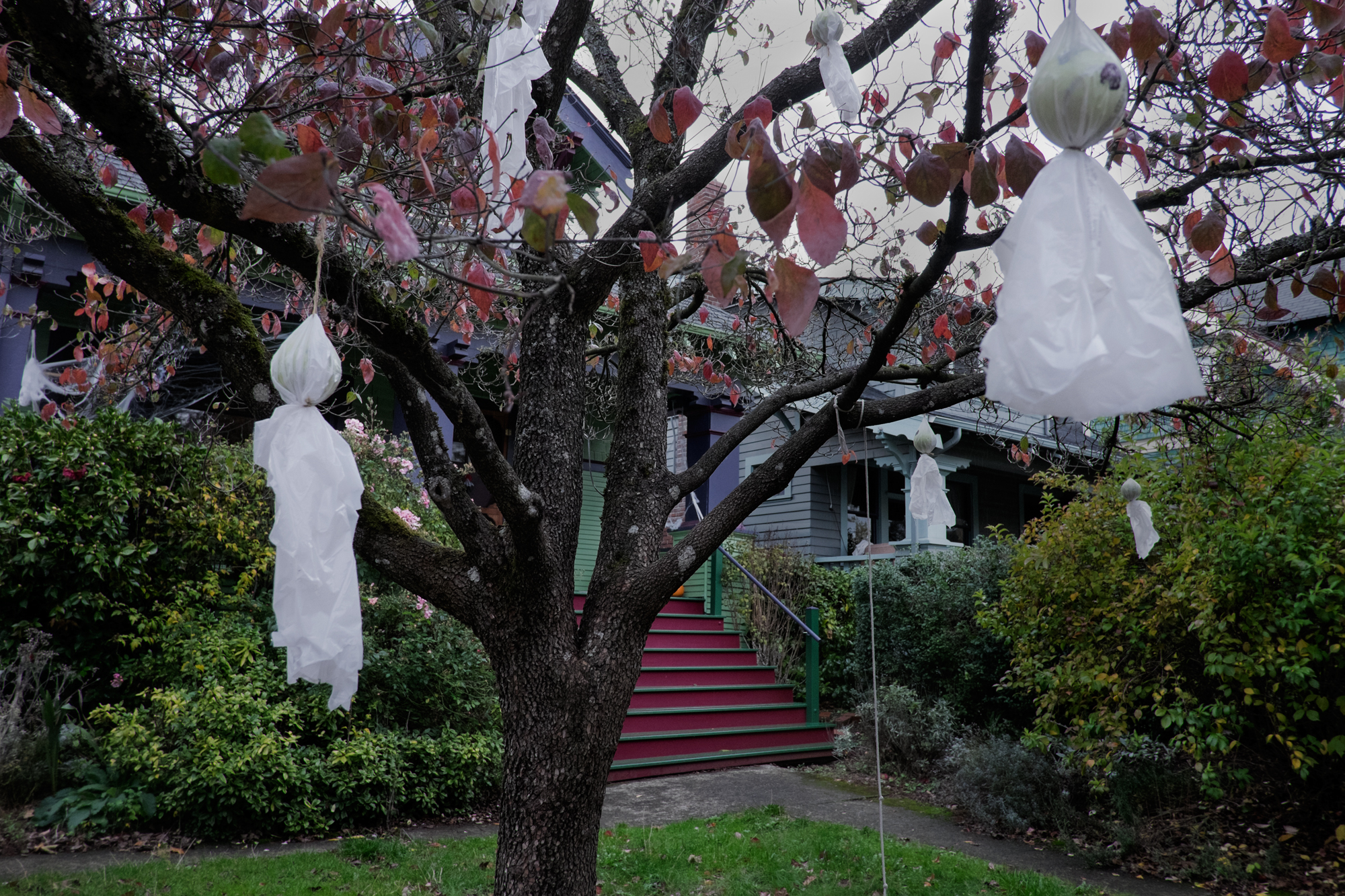 NE Portland, Oregon