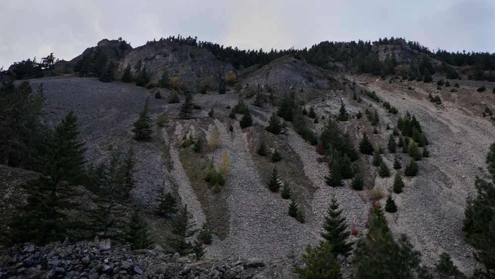 Columbia River Gorge, Washington