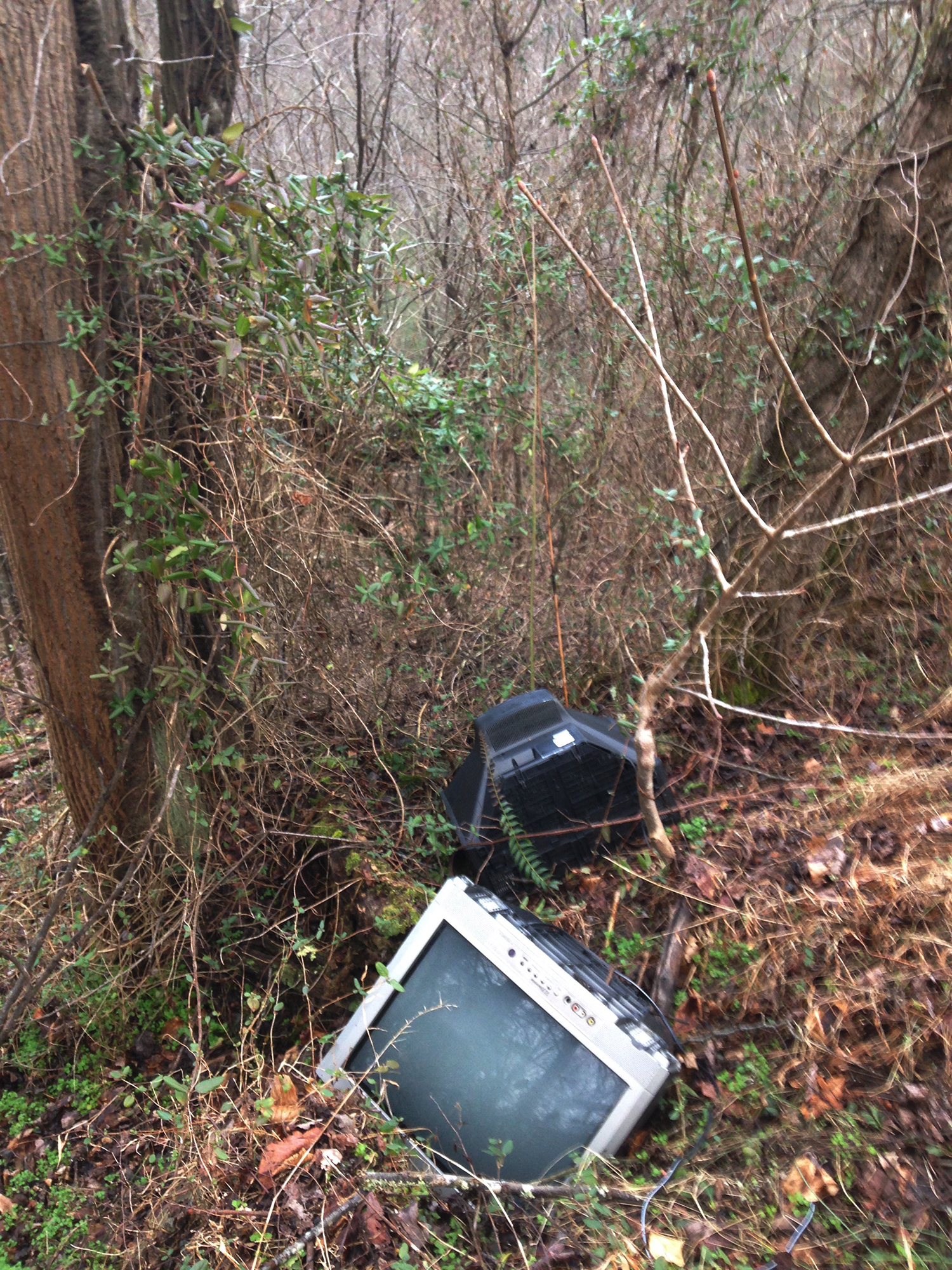 Anderson Branch, Madison County, NC 2016