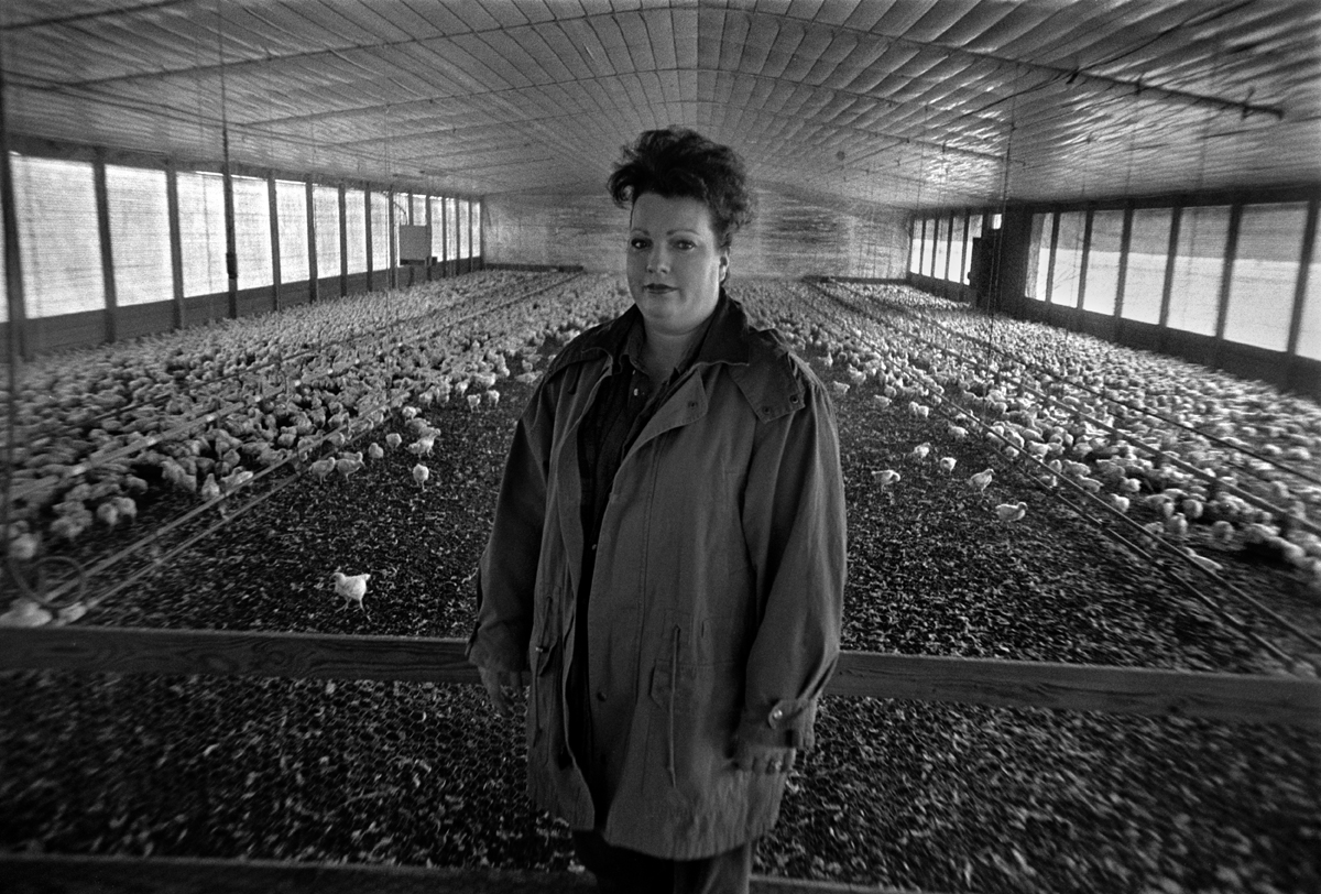 Poultry Farmer Diane Tinsley, Samson, Alabama 1994