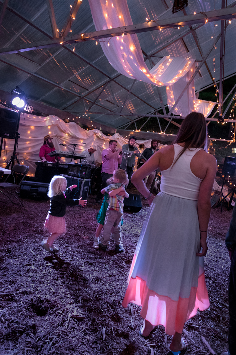 At Matt and Taylor's wedding reception, Old Ground Farm, Big Pine, Madison County, NC 2016