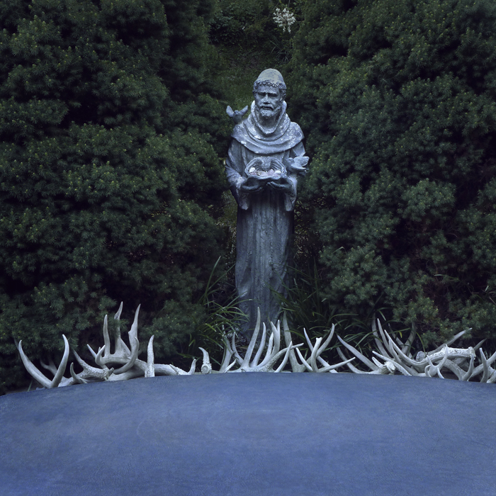 St. Francis at Judy's, South Fork, Madison County, NC 2012