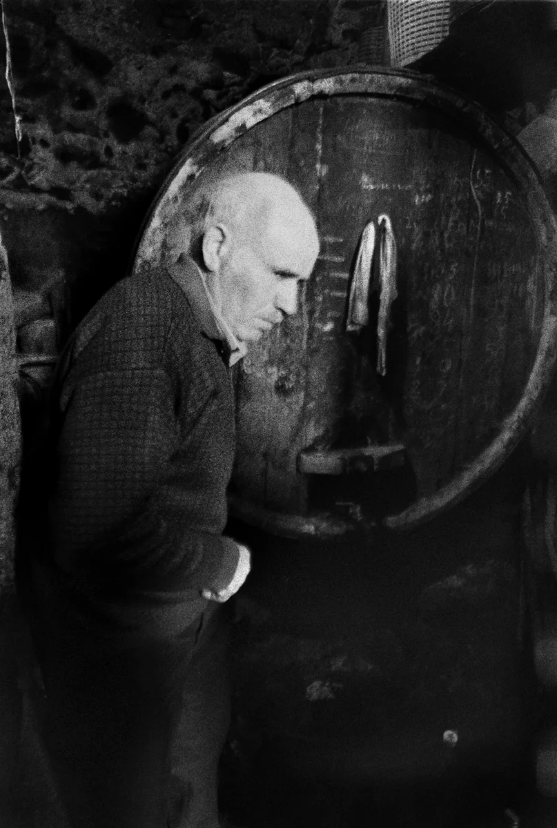 Vintner, Mt. Etna, Sicily 2005.