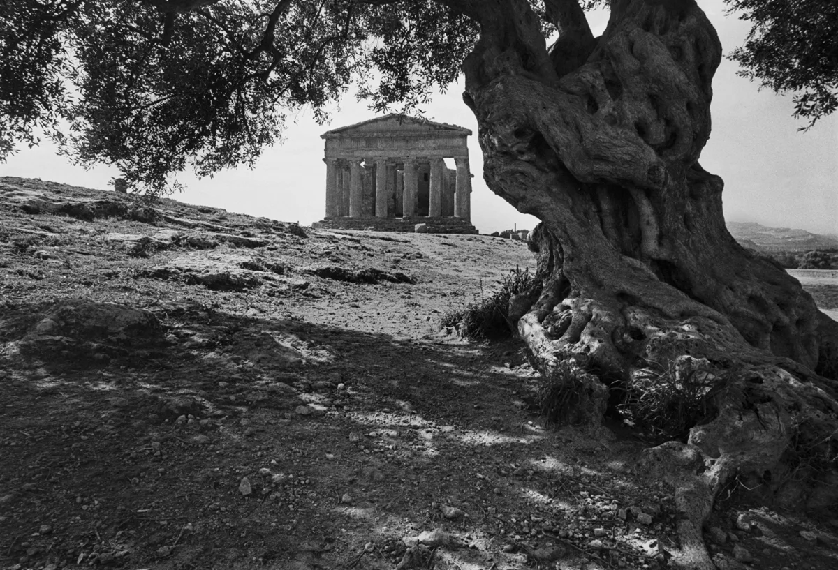 IT001-37b (a) copy.jpg
