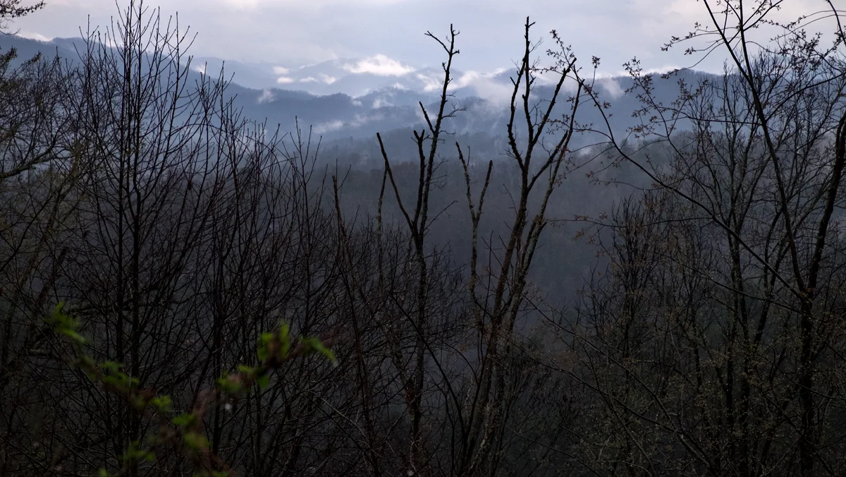 Looking East from Lonesom Mountain, Maidison County, NC 2019