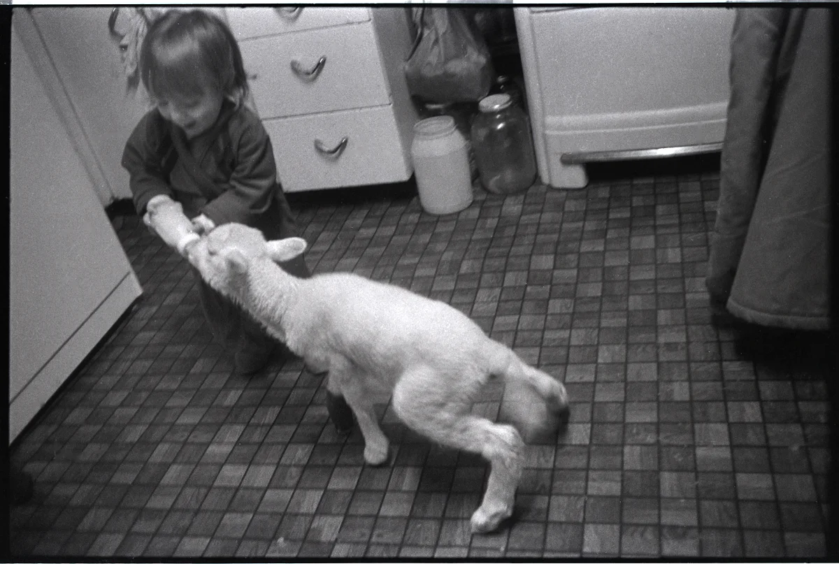 Benny feeding Jim and Libby’s Lamb in our kitchen, Big Pine, Madison County, NC 1982