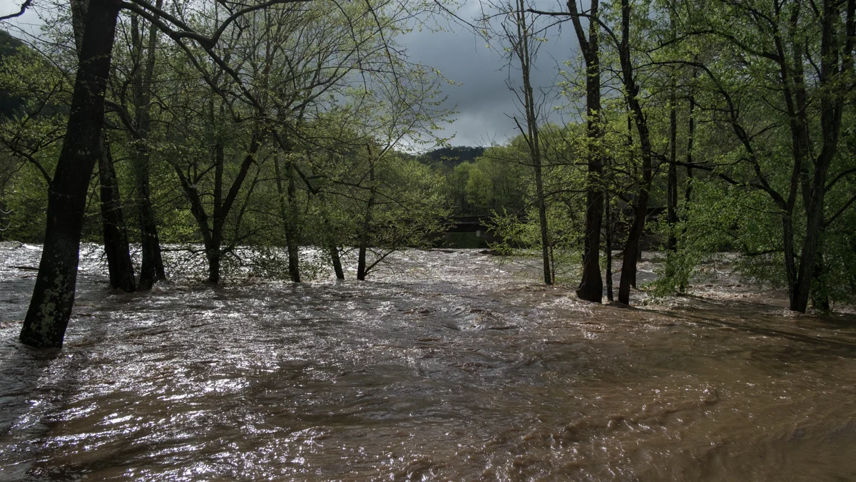 The flooded French Broad River at Barnard, 2019/04/19.