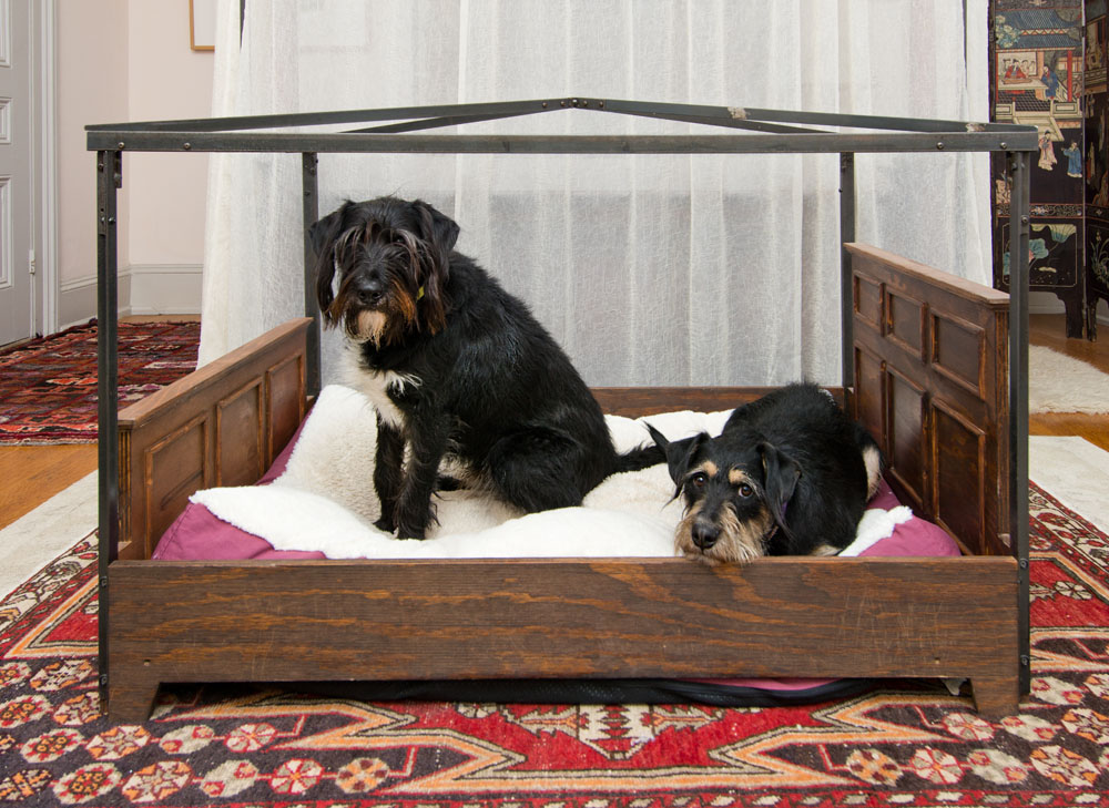 hart dog bed.jpg