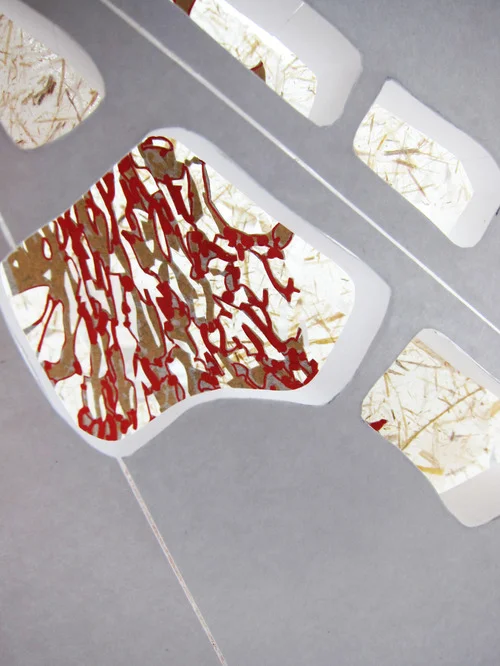 WINDOW GROWTH 1_800.jpg