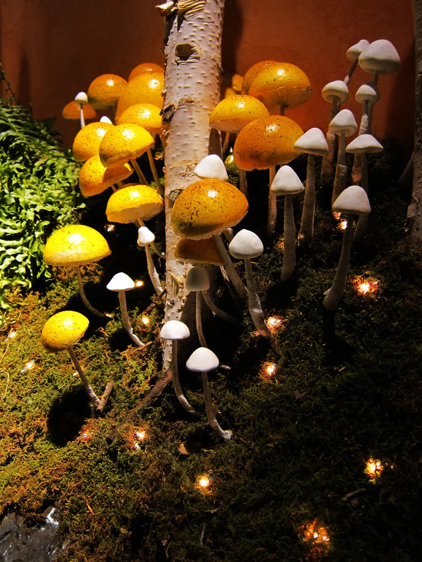 sml Mushrooms Detail 3.jpg