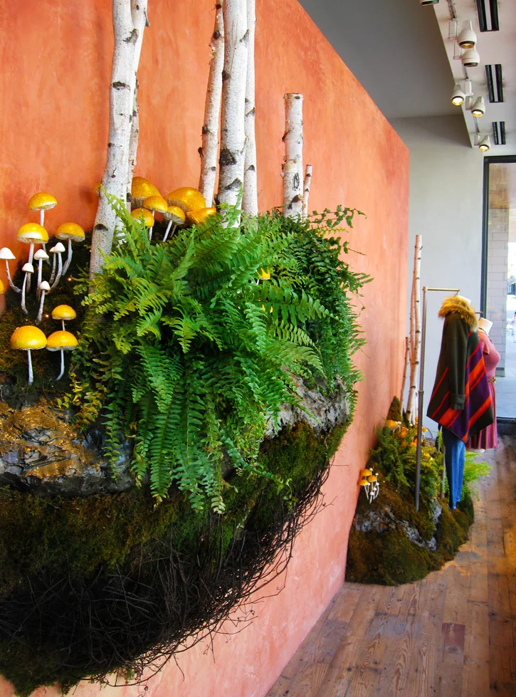 Sml Forage Window Day.jpg