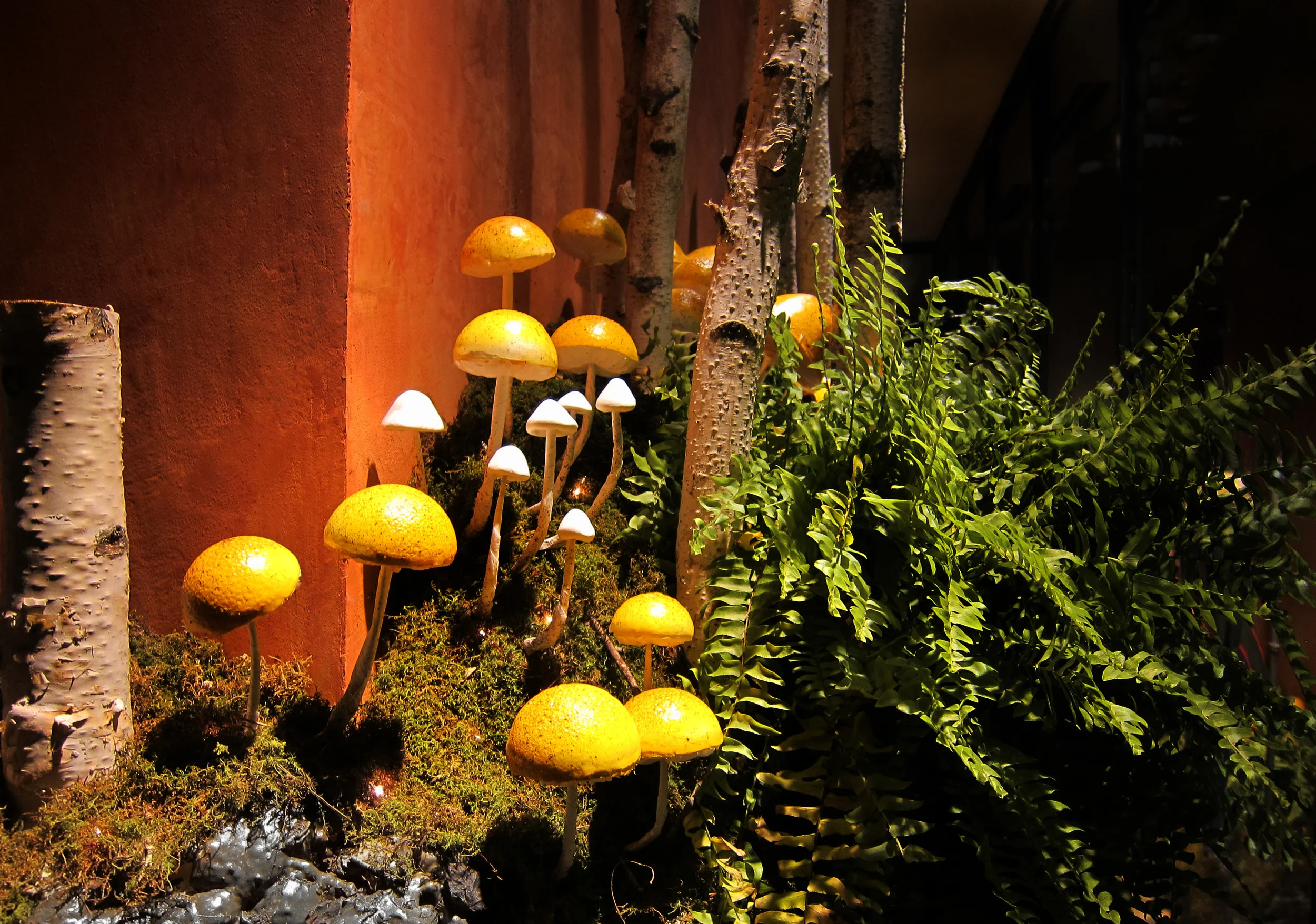 Mushrooms Detail2.jpg