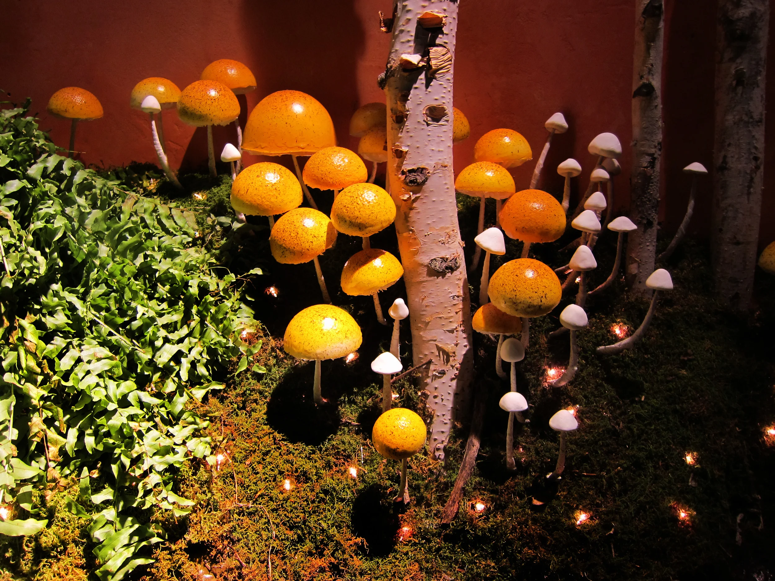 Mushrooms Detail1.jpg