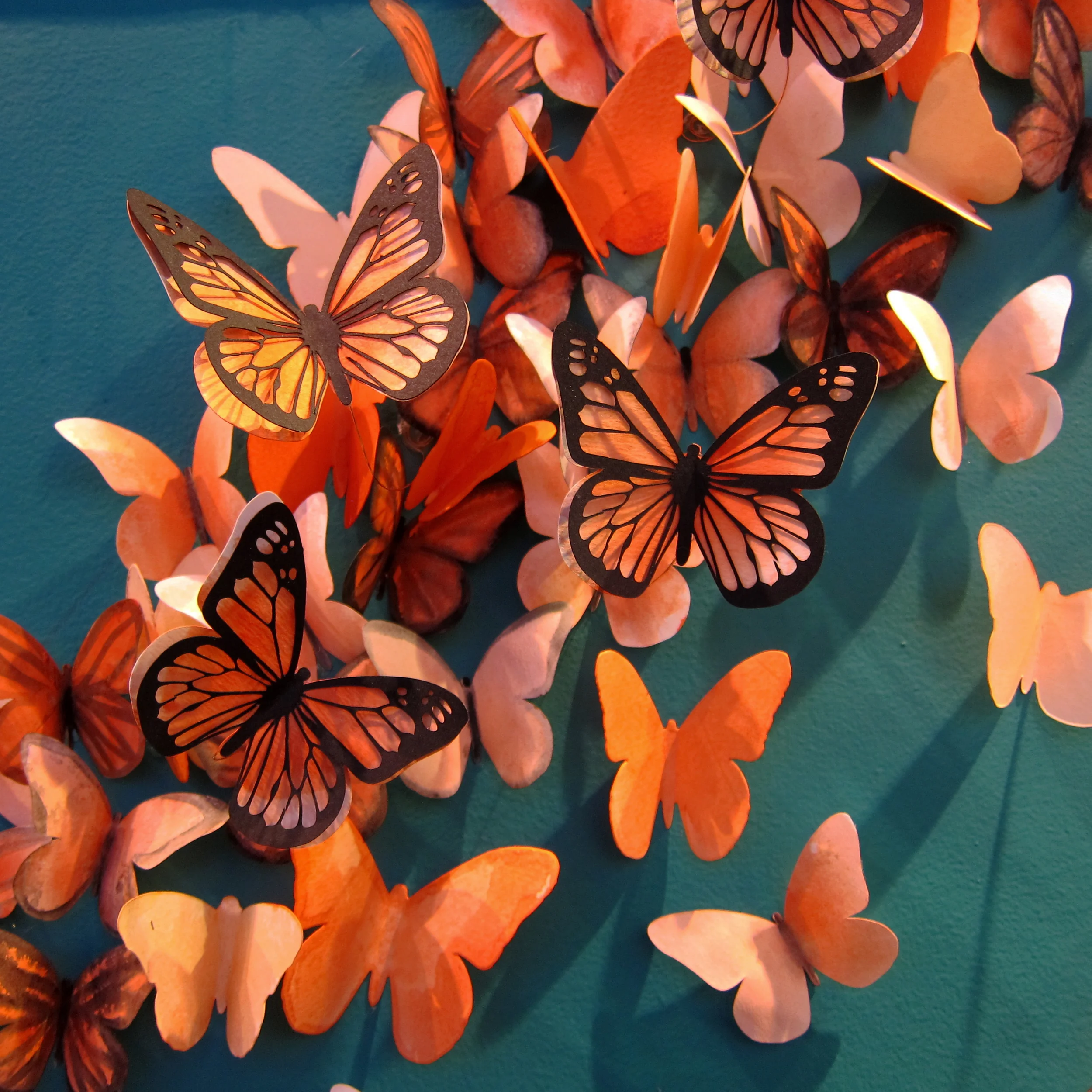 monarch detail.jpg