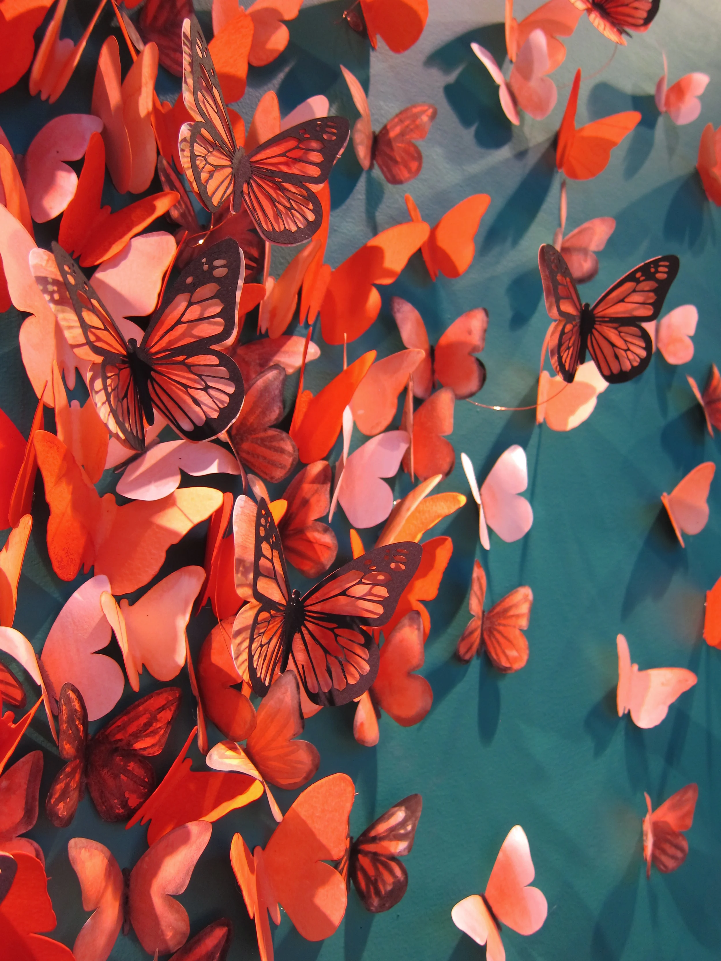monarch detail 2.jpg