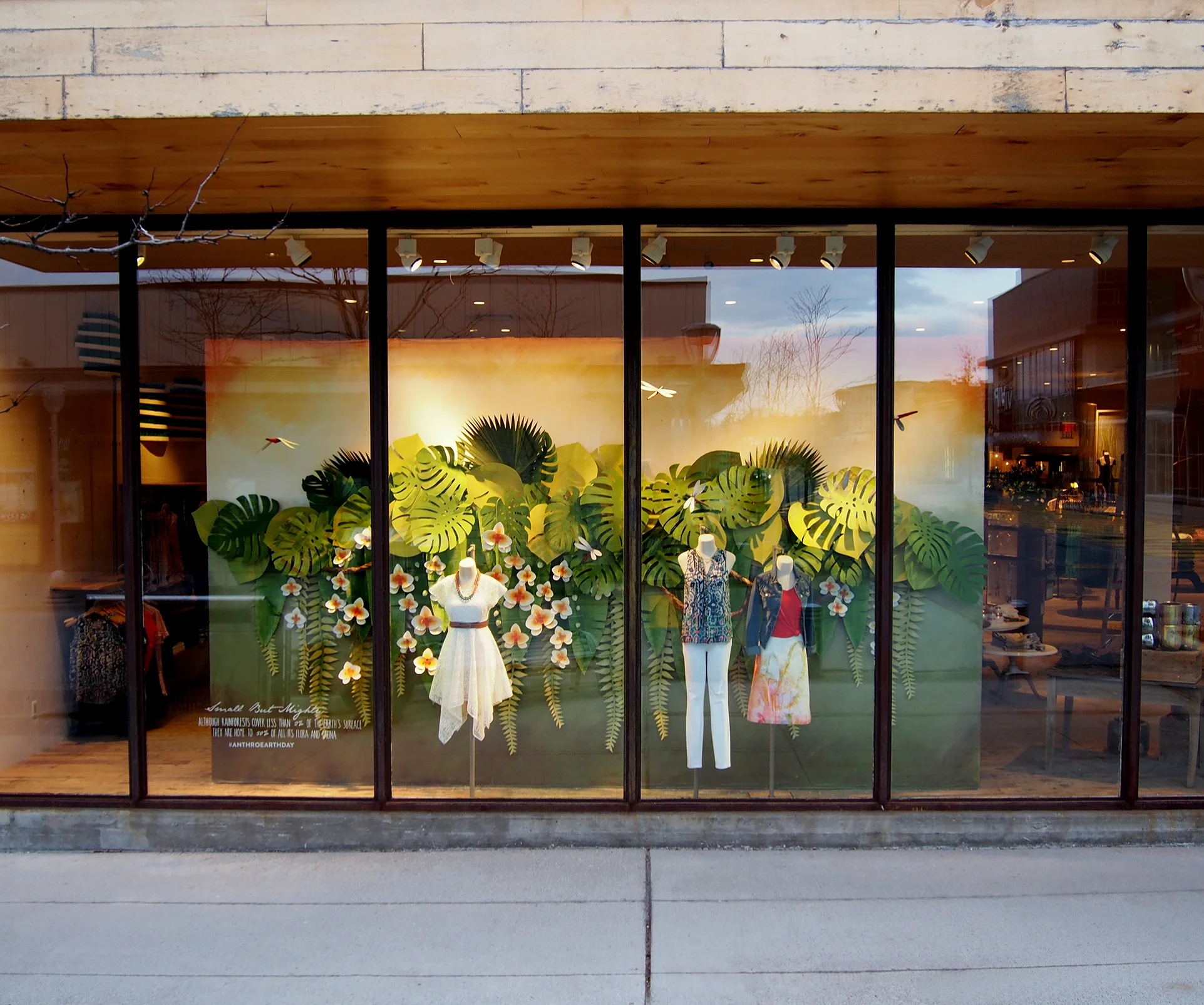 EarthDay window overview 1.jpg