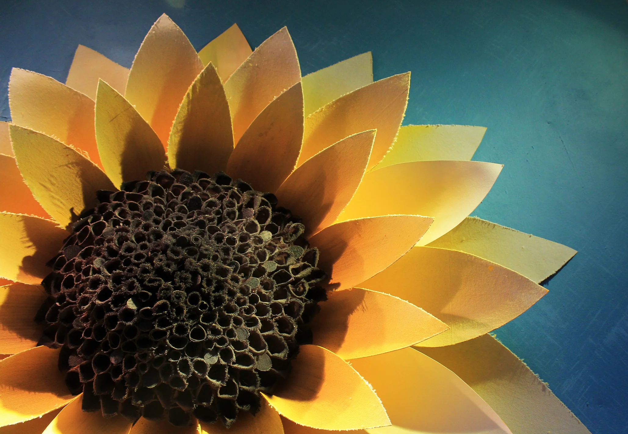 3 sunflower sml detail.jpg