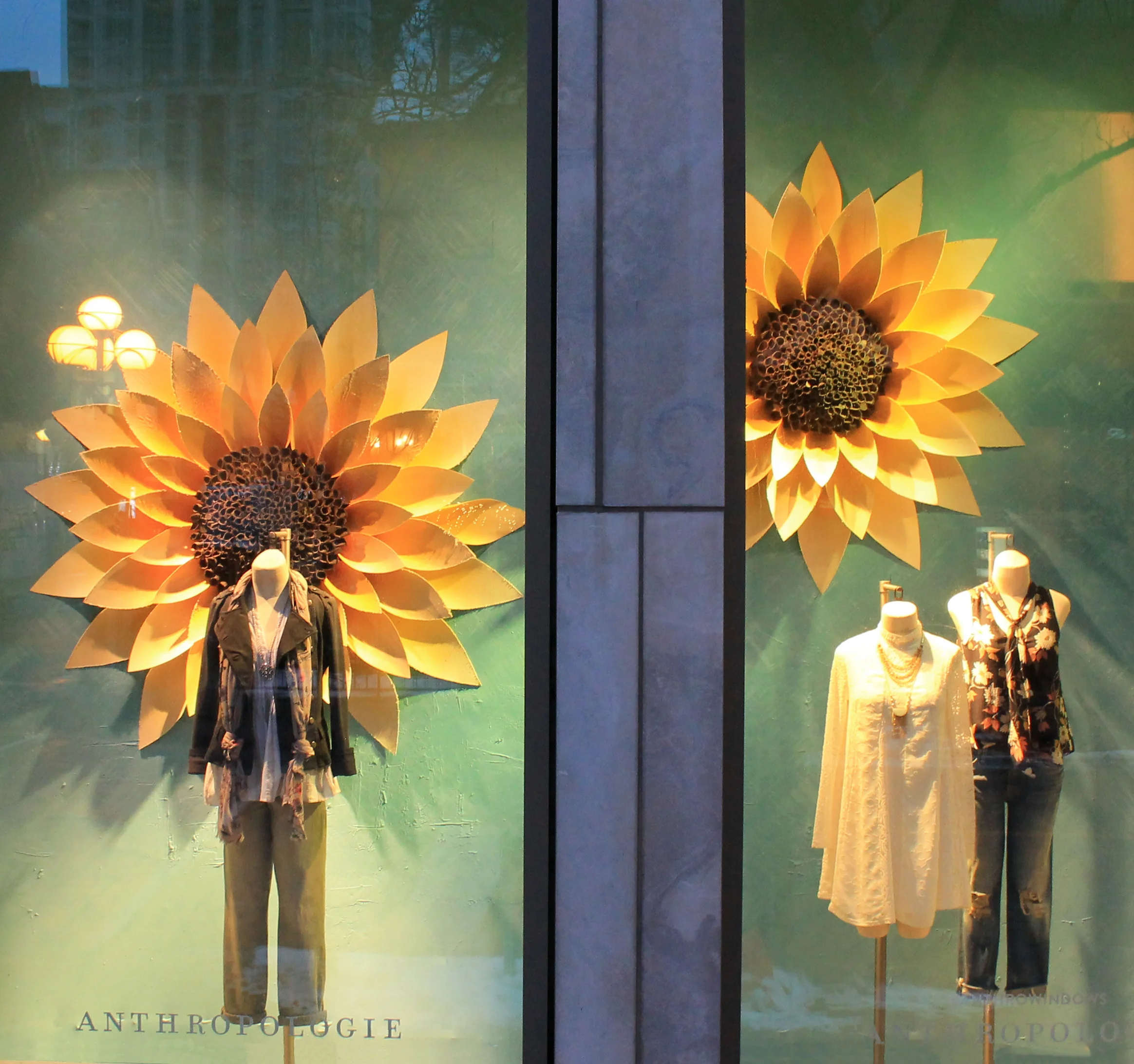 sunflower2.jpg
