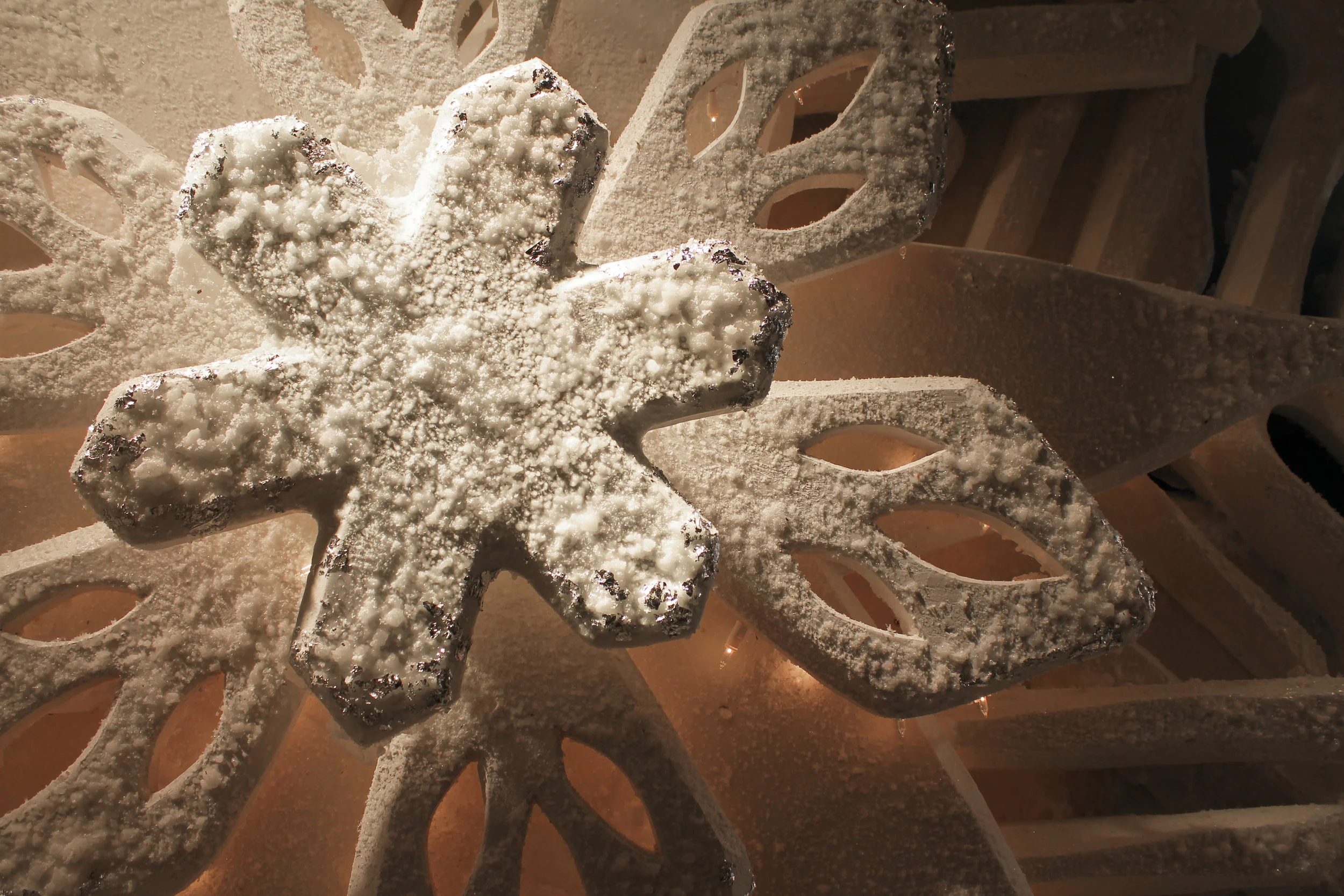 Snowflake Detail 1.jpg